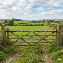 Gates