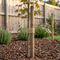 Fence posts