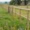 Outdoor & Gardening